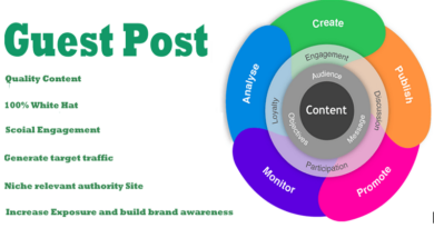 Professional Guest Posting Services