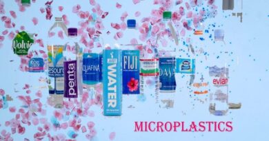 microplastics and food