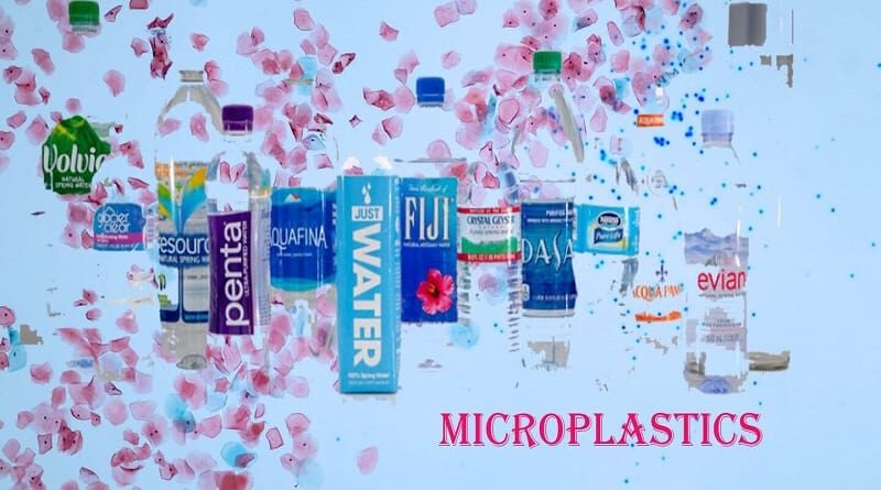 microplastics and food