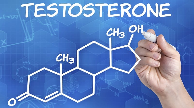 Testosterone And Its Importance