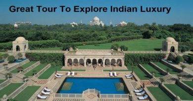 Great Tour To Explore Indian Luxury