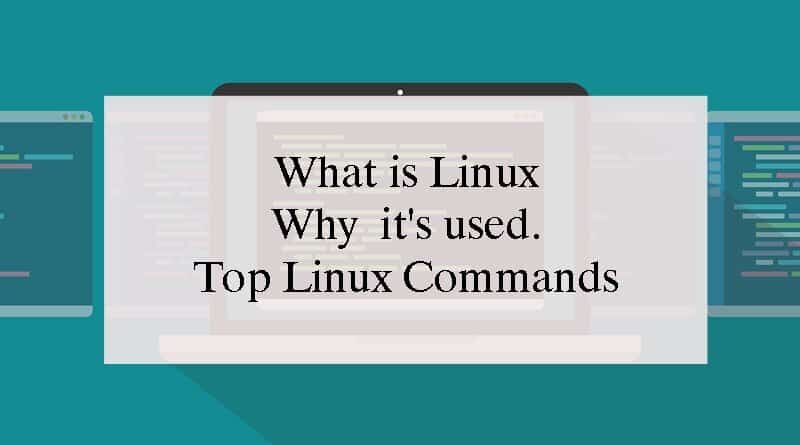 linux basic commands