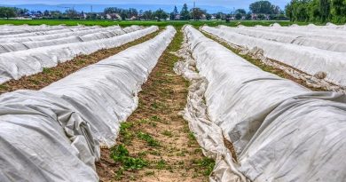 Tarpaulin in Greenhouses